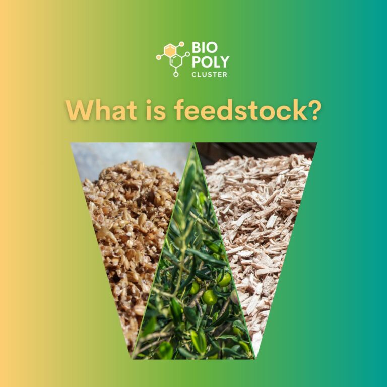 BIOPOLY Cluster launches Joint Communication Campaign on the Role of Feedstock in Sustainable Bio-Based Products